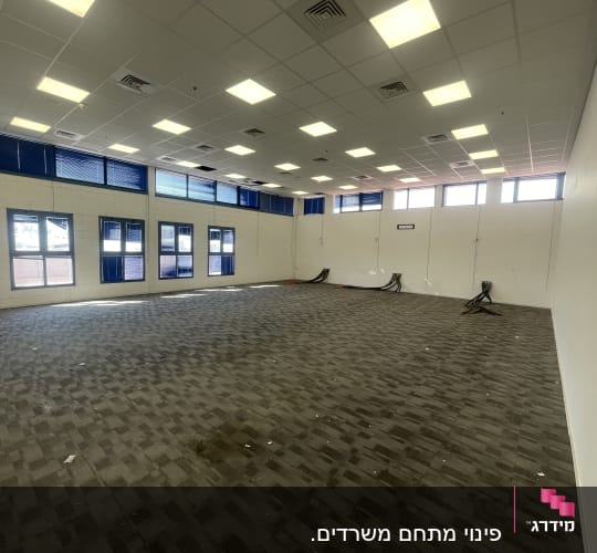 חדר ריק עם שטיח מקיר לקיר ותאורה עליונה